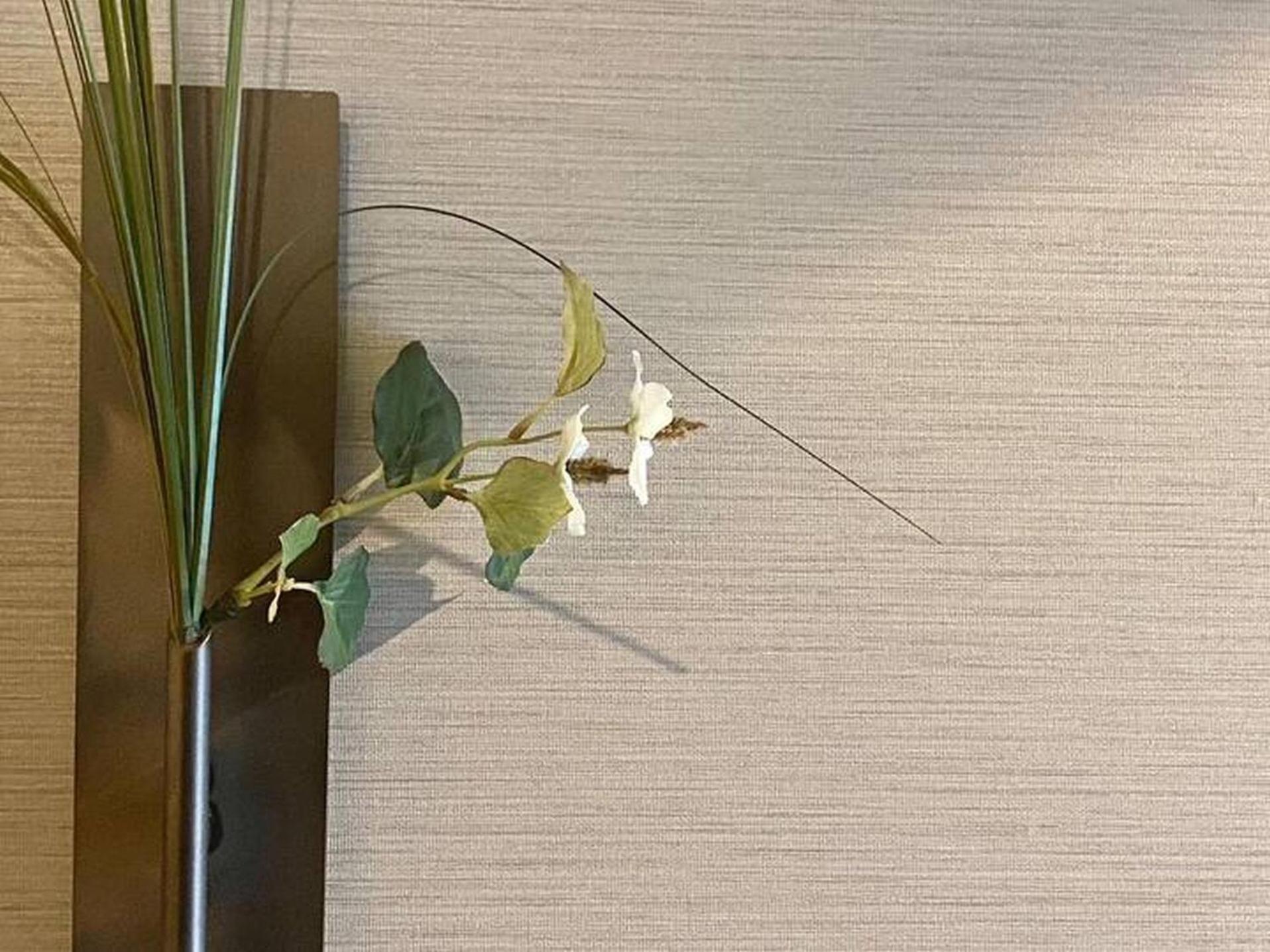Apartment 癒し黒門別館002